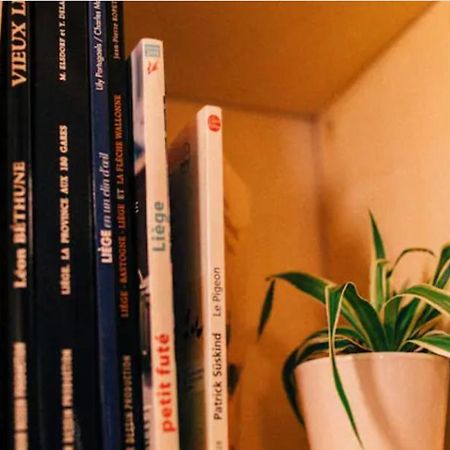 Le Pigeonnier - Tinyhouse En Plein Centre De Liege Hotel Екстериор снимка